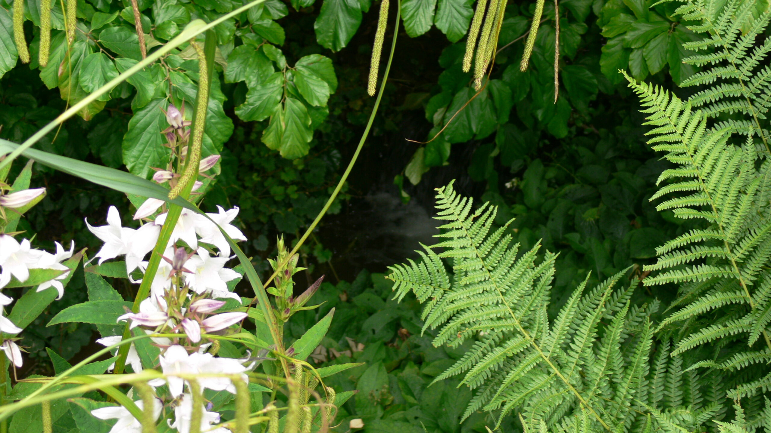 Episode 10 – Wandering in Y’Hserin